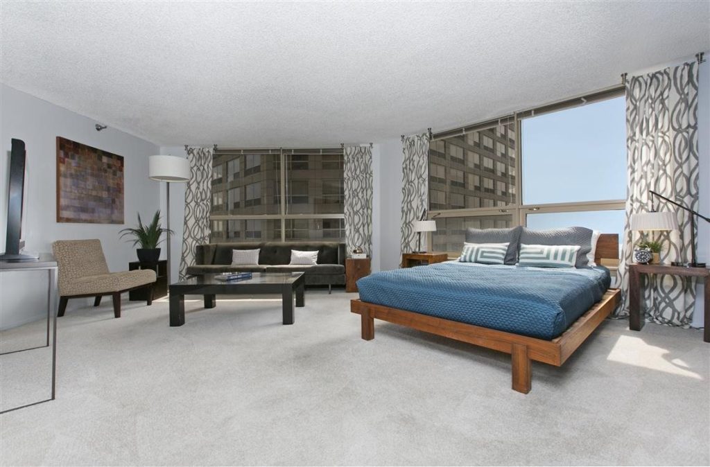 Looking for a Pet Friendly Studio Apartment for Rent Near West Loop? Downtown Apartment Company