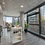 Cats welcome! Printers Row Penthouse Loft Apartments for rent