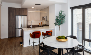 OneSixSix West Loop Luxury Apartments for rent