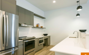 Short term furnished apartments for rent near Lincoln Park dog pet friendly near me